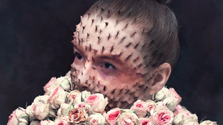 Creepy photoshopped portraits of human-plant hybrids